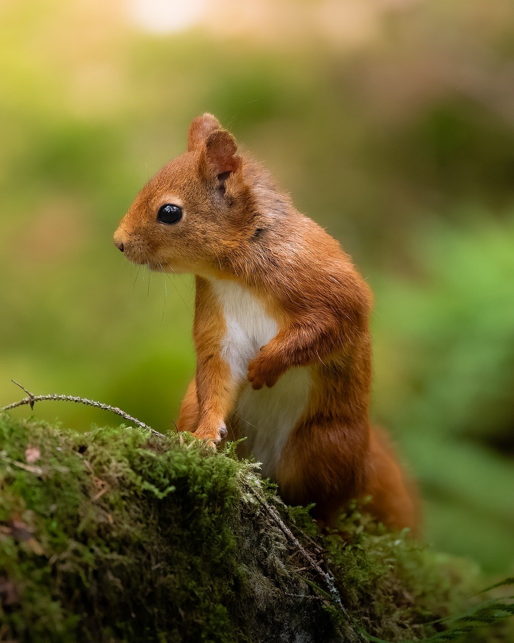 decrire image 10 mots finir abs exo